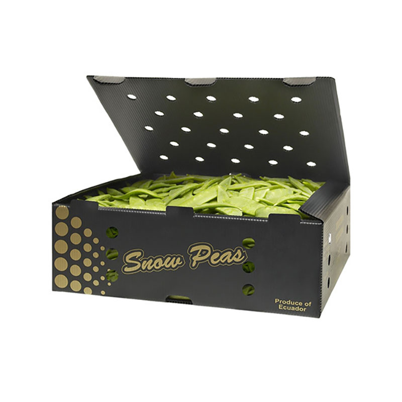 Hollow Board Fruit Box